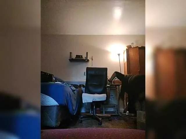 Afterisolatio on BongaCams 