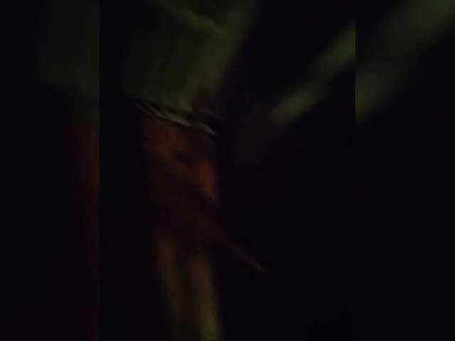 Asd-1985 from BongaCams