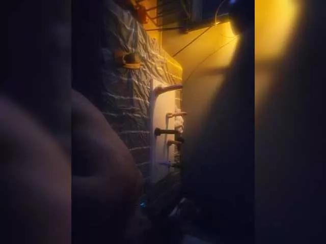 Ciotir87 on BongaCams 