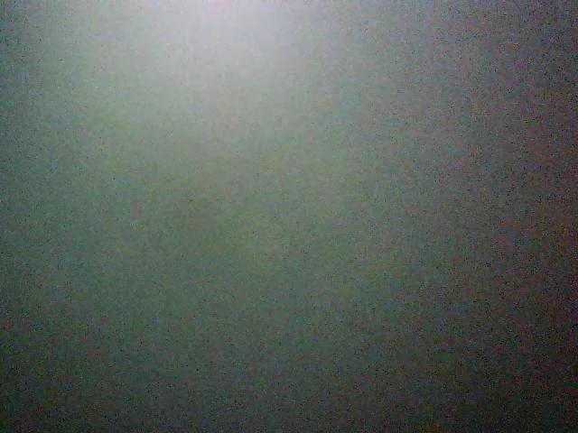 Daydiamond on BongaCams 