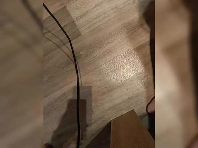 directus on BongaCams