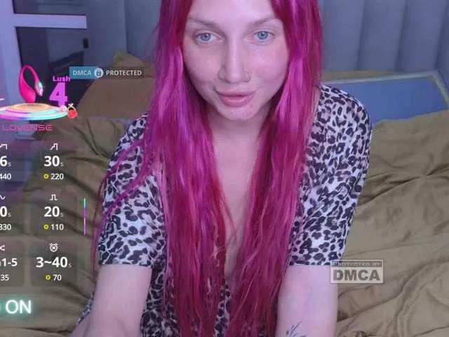 dvenasti on BongaCams 