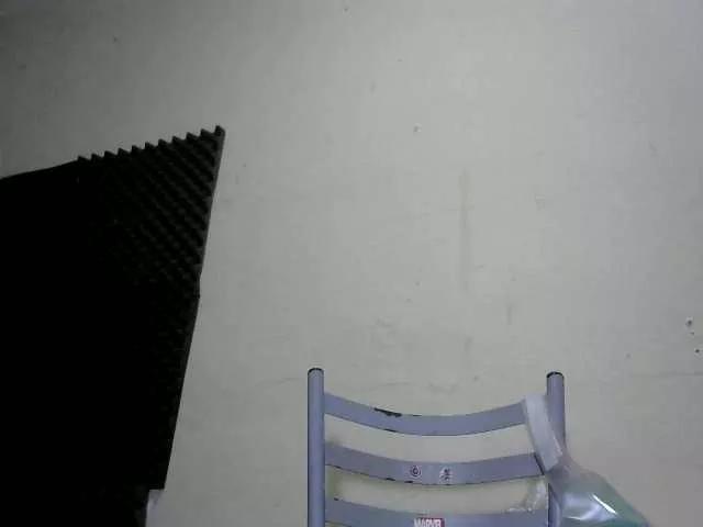 flordodeserto on BongaCams 