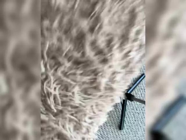 HARIZZMA on BongaCams 