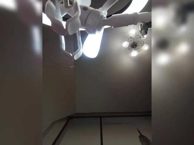 LamiaRay on BongaCams 