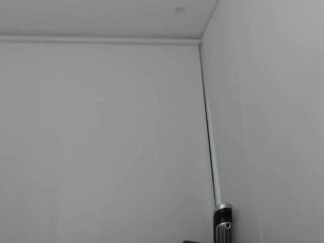little-valeri on BongaCams 