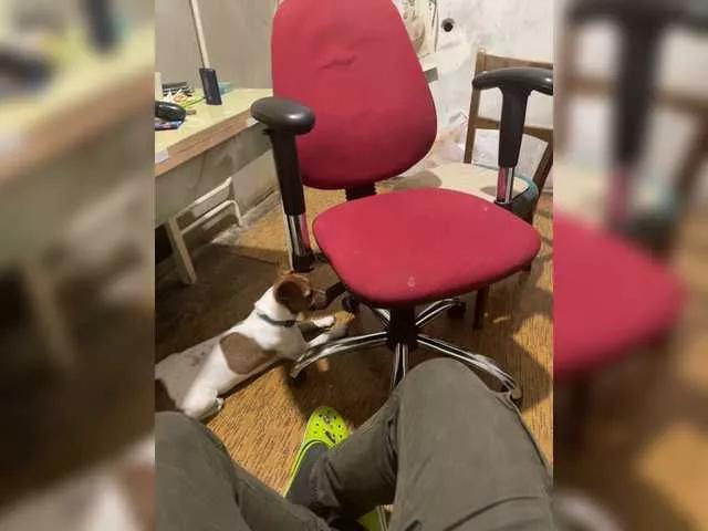 Lovepupsa888 on BongaCams 