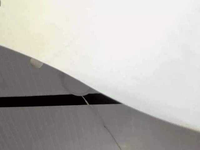 sofytailor on BongaCams 
