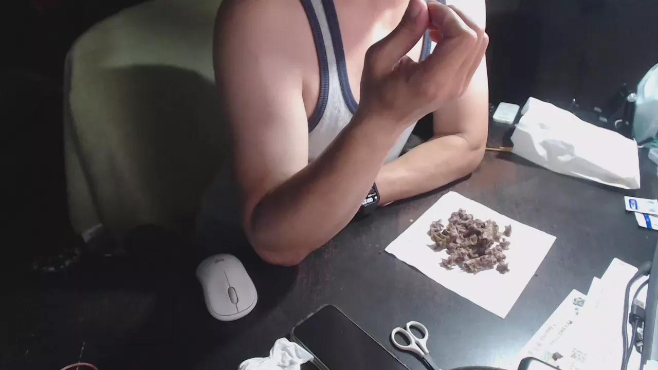 ixtmhpns on Cam4 