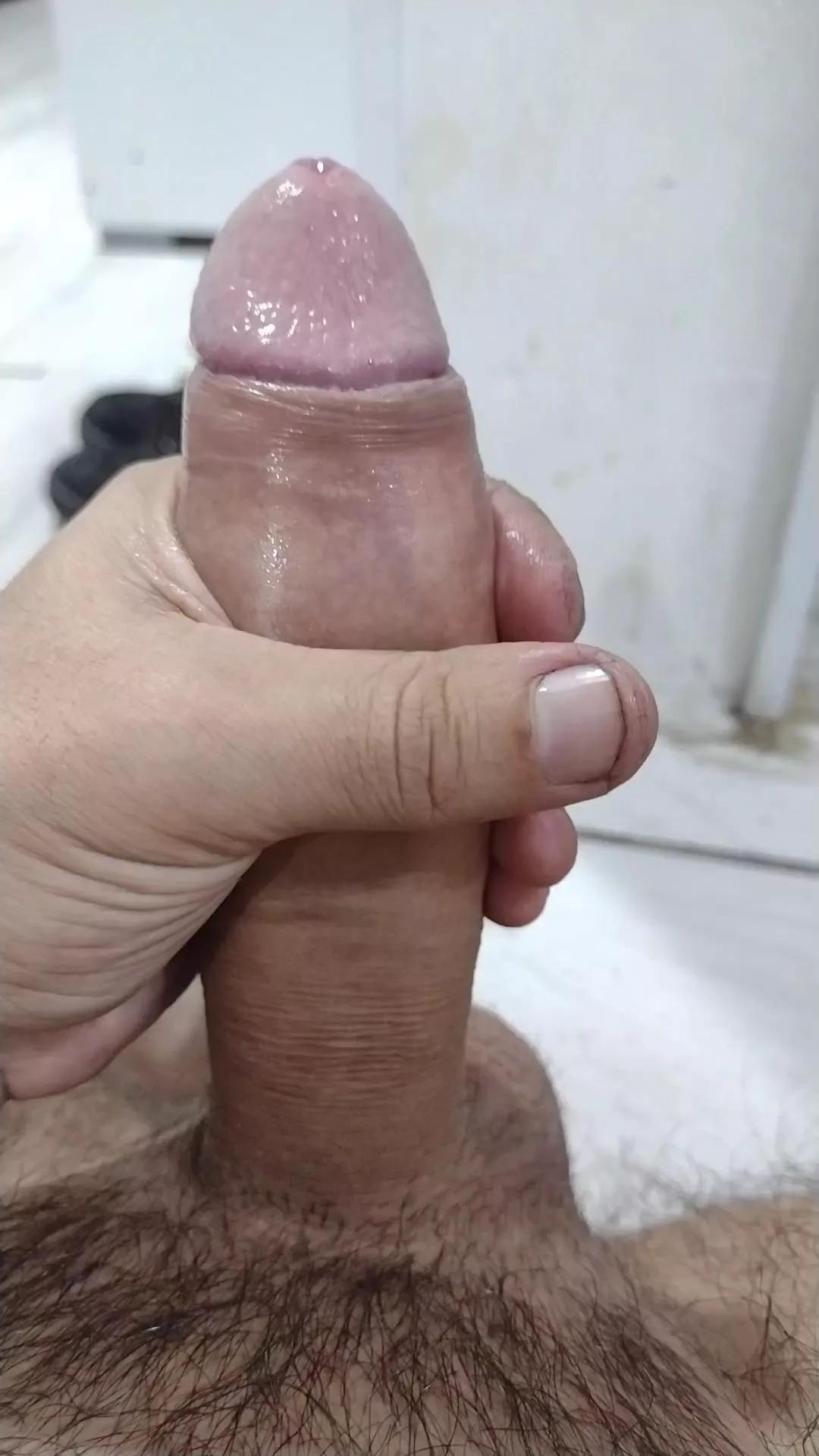 Peladao2024 on Cam4 