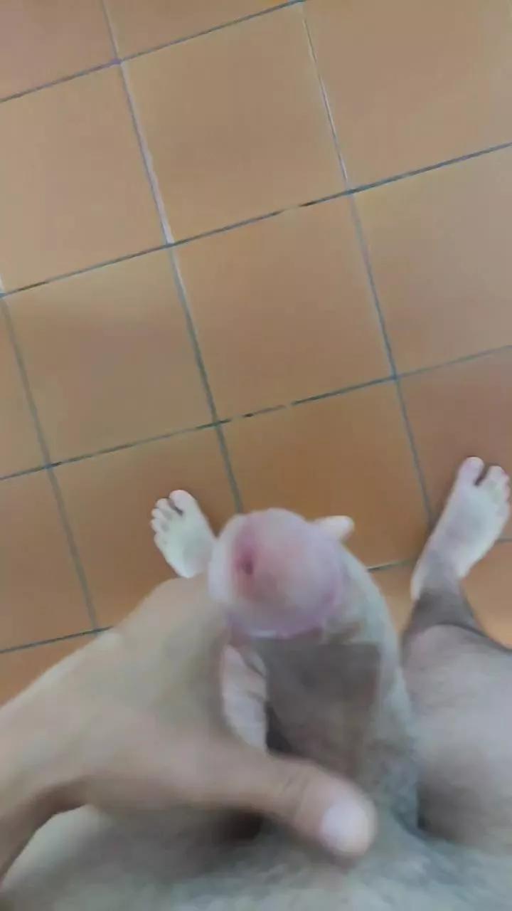 perroloco68 on Cam4 