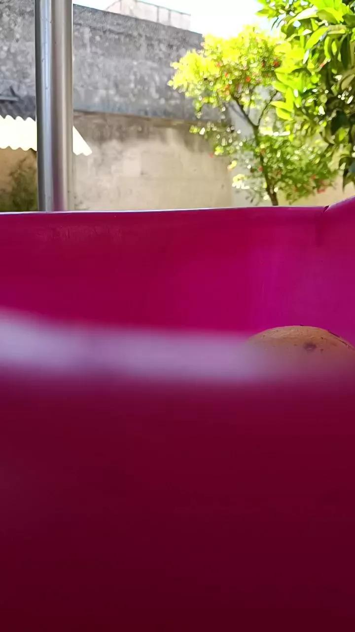 piovrahot on Cam4 