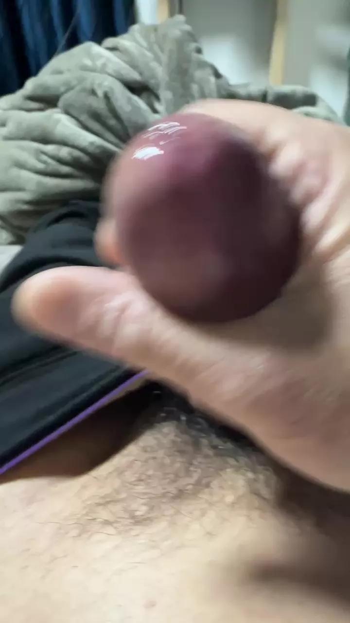 sin1979 on Cam4 