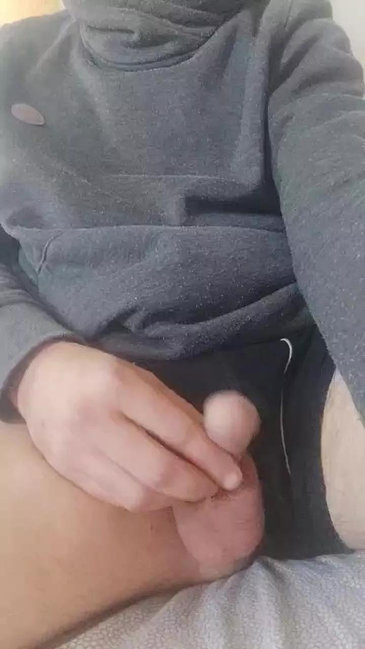 Timido838 on Cam4 