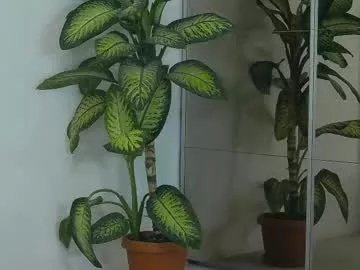 Freechat katestars on Chaturbate