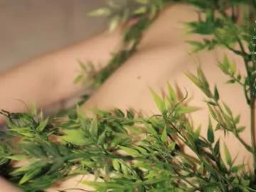 Watch Toshimori, she wants to masturbate for you toshimori from Chaturbate