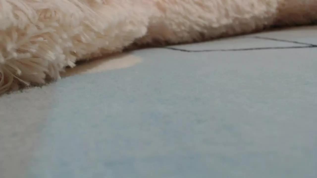 Daphne0 on Streamray 