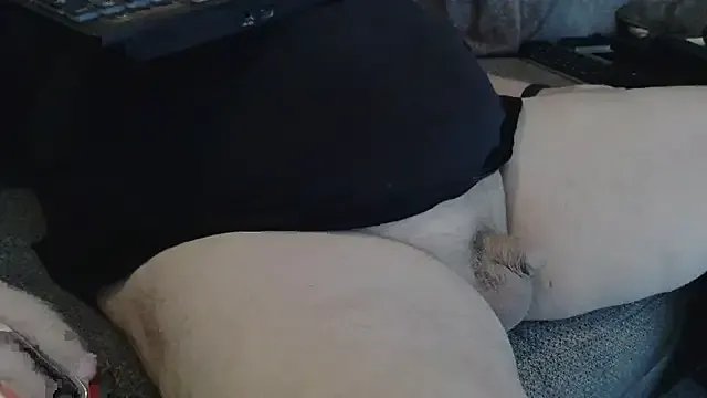 Freechat bud4party on StripChat