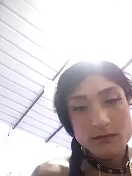 Transcomlombia on StripChat 