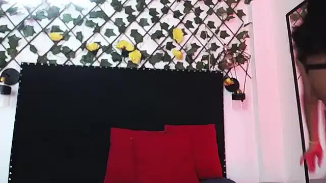 StripChat Vwildcatper vwildcatper from StripChat